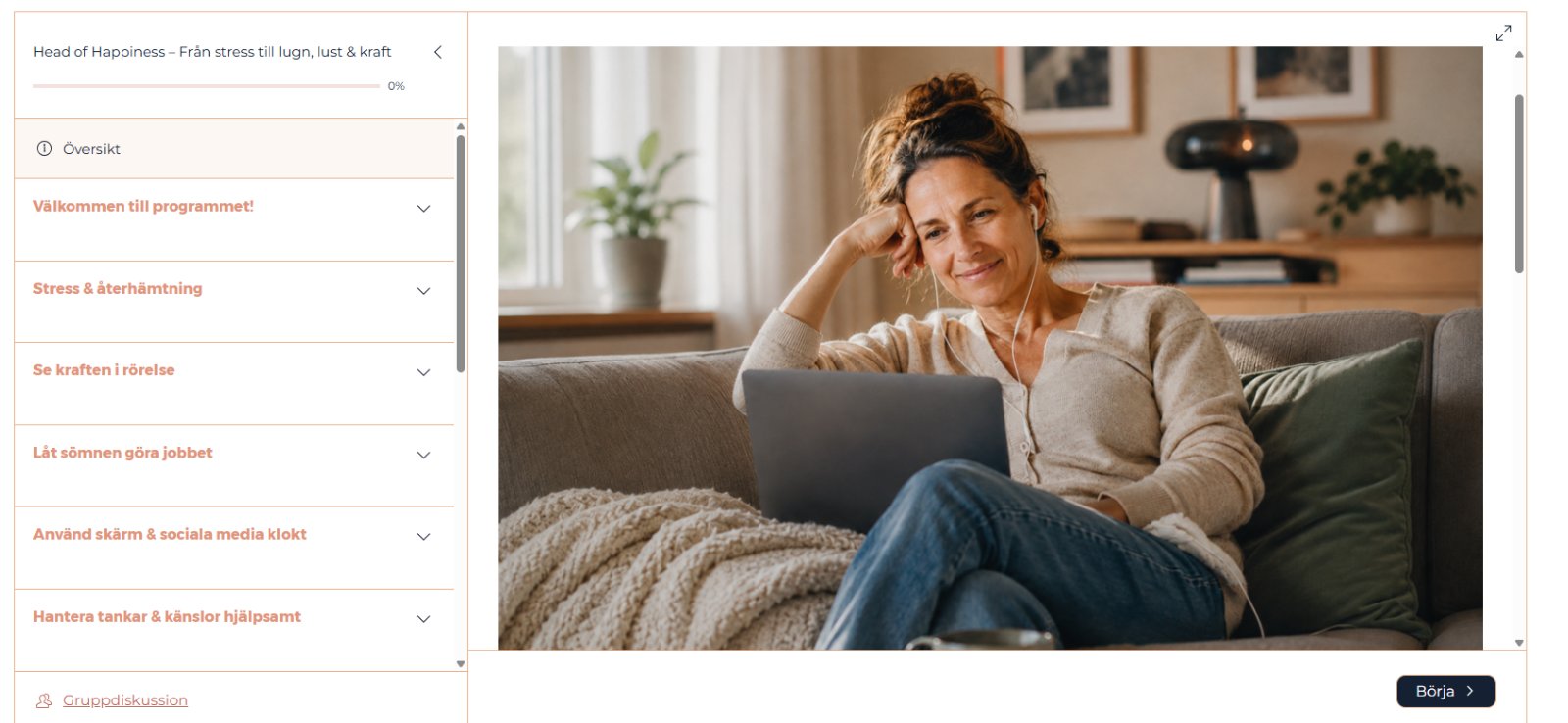 Programmet på datorn: modullistan och en modul